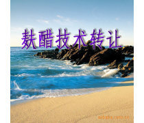 產品庫技術轉讓 優勢、要點與實施策略